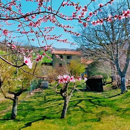 B&B Luna E Stelle Premilcuore Buitenkant foto