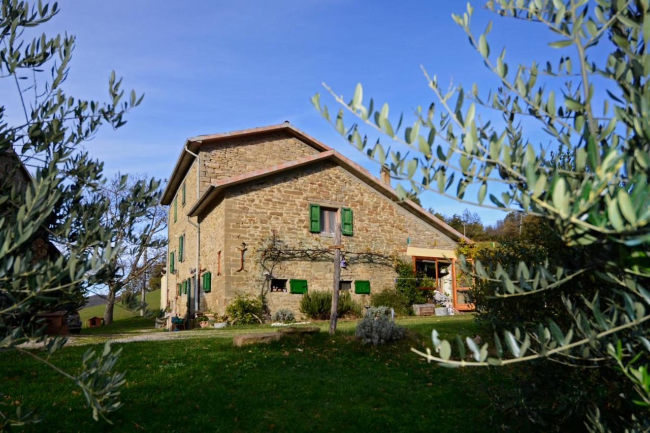 B&B Luna E Stelle Premilcuore Buitenkant foto