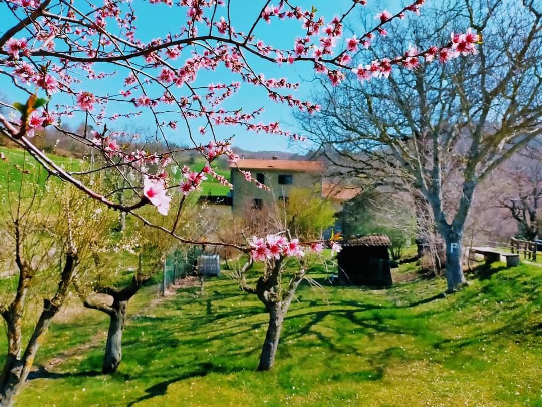 B&B Luna E Stelle Premilcuore Buitenkant foto