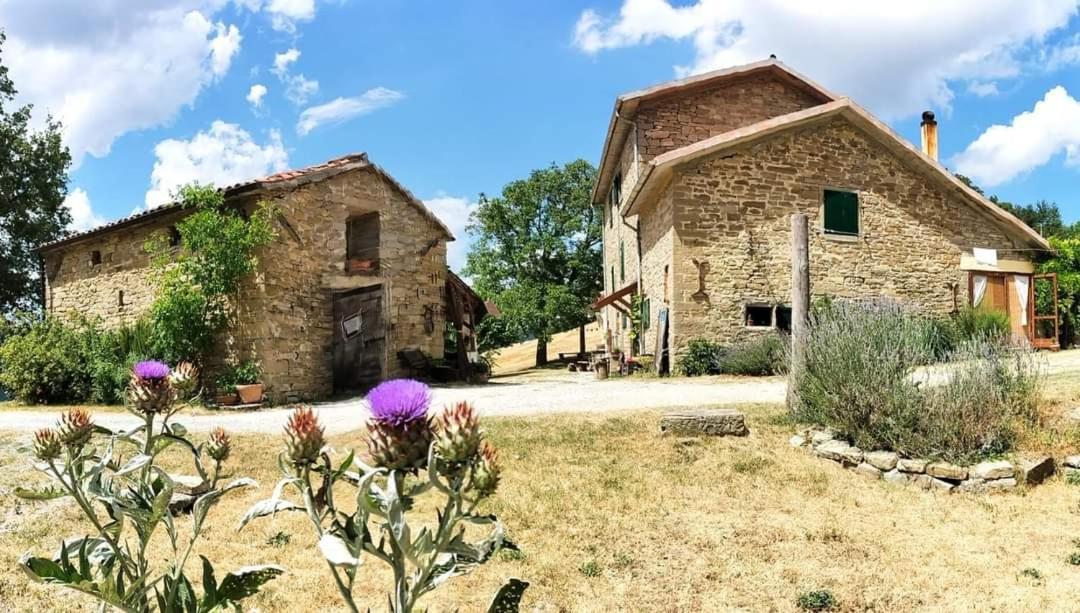 B&B Luna E Stelle Premilcuore Buitenkant foto