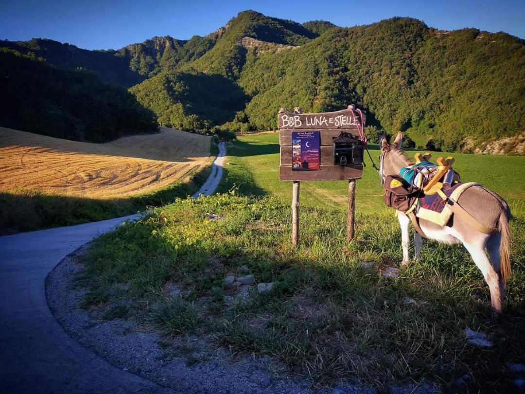 B&B Luna E Stelle Premilcuore Buitenkant foto