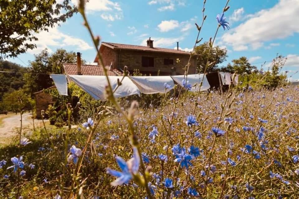B&B Luna E Stelle Premilcuore Buitenkant foto